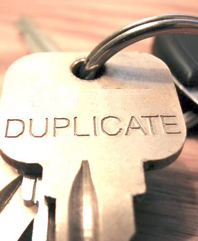 3 Damaging effects of duplicate information