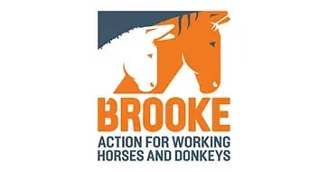 Brooke boosts operational efficiency with SharePoint migration