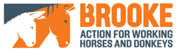 Brooke_Horizontal_Logo_690x200