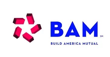 Build America Mutual: Easier Records Management