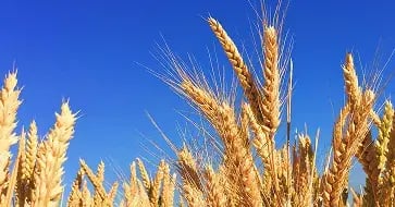 Migratie naar een nieuw zaaksysteem voor CtGB
