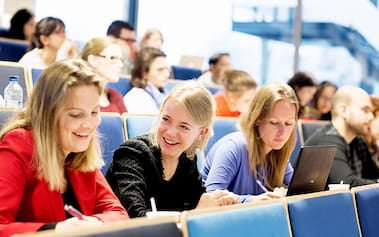 Website CMS migratie van TYPO3 naar Drupal