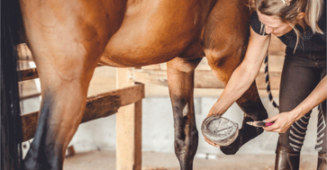 Brooke boosts operational efficiency with SharePoint migration