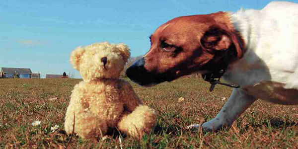 MakingContentFindable