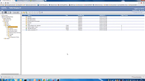 Export FileNet Video