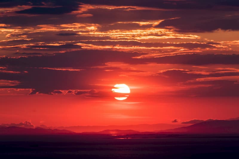 Should You Be Scared to Sunset Your Legacy ECM Systems?
