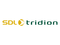 SDL Tridion website migrations
